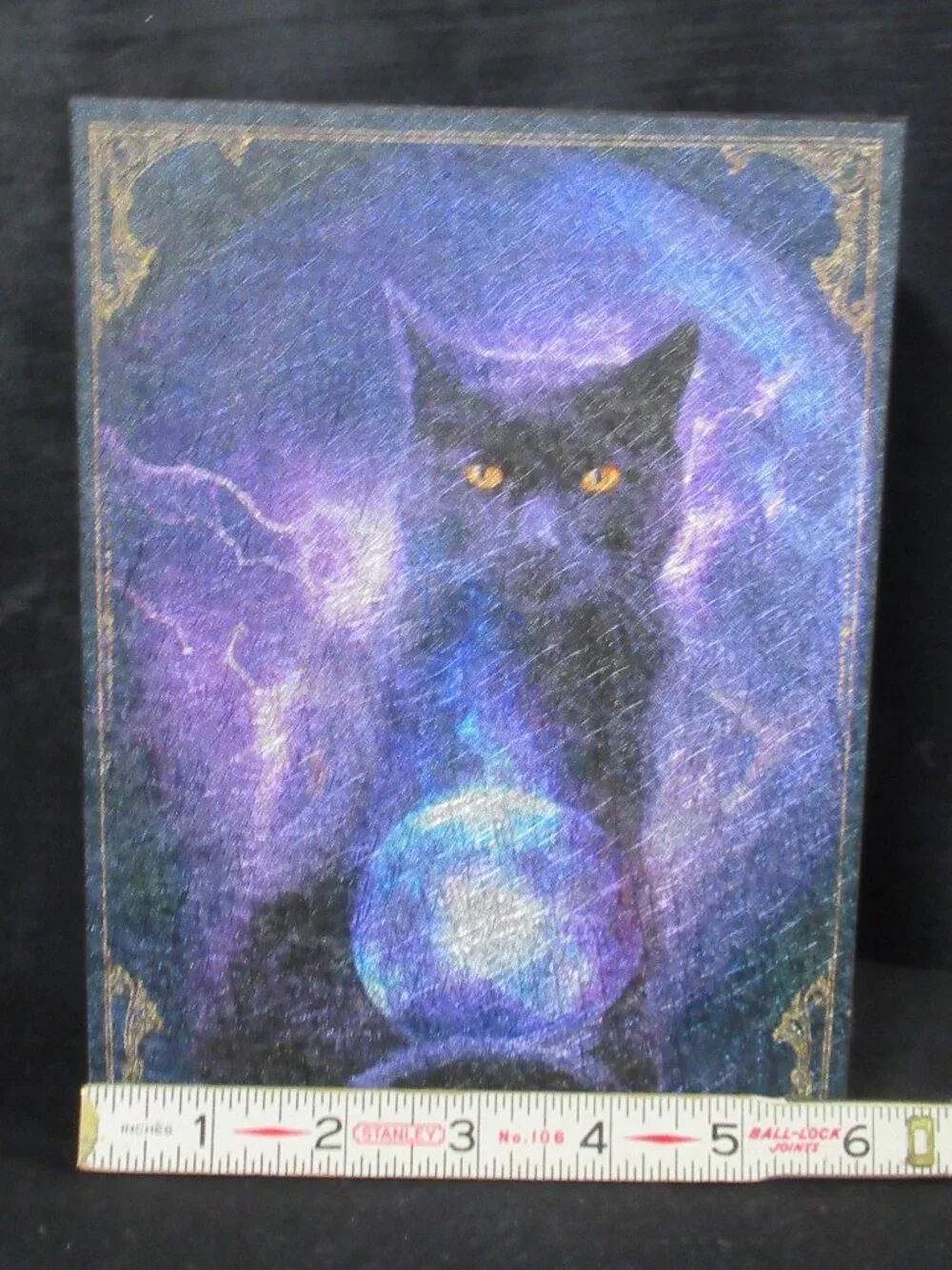 N/A spooky cat